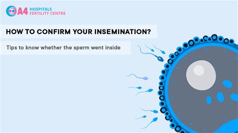 How to Confirm Whether Sperm Went Inside